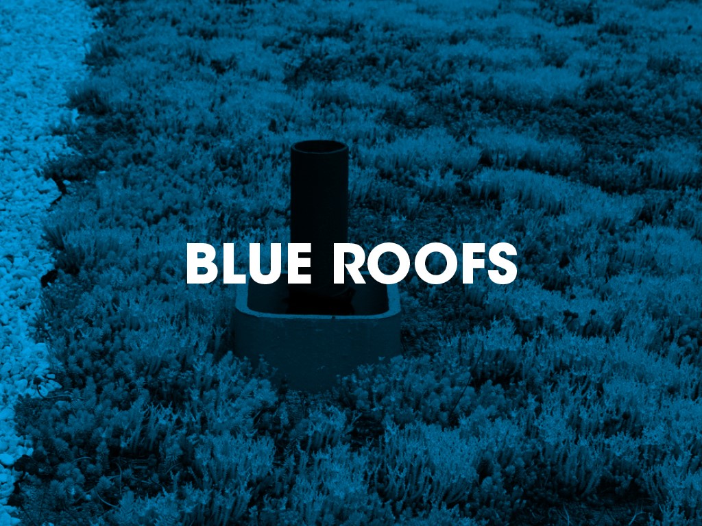 Blue roofs