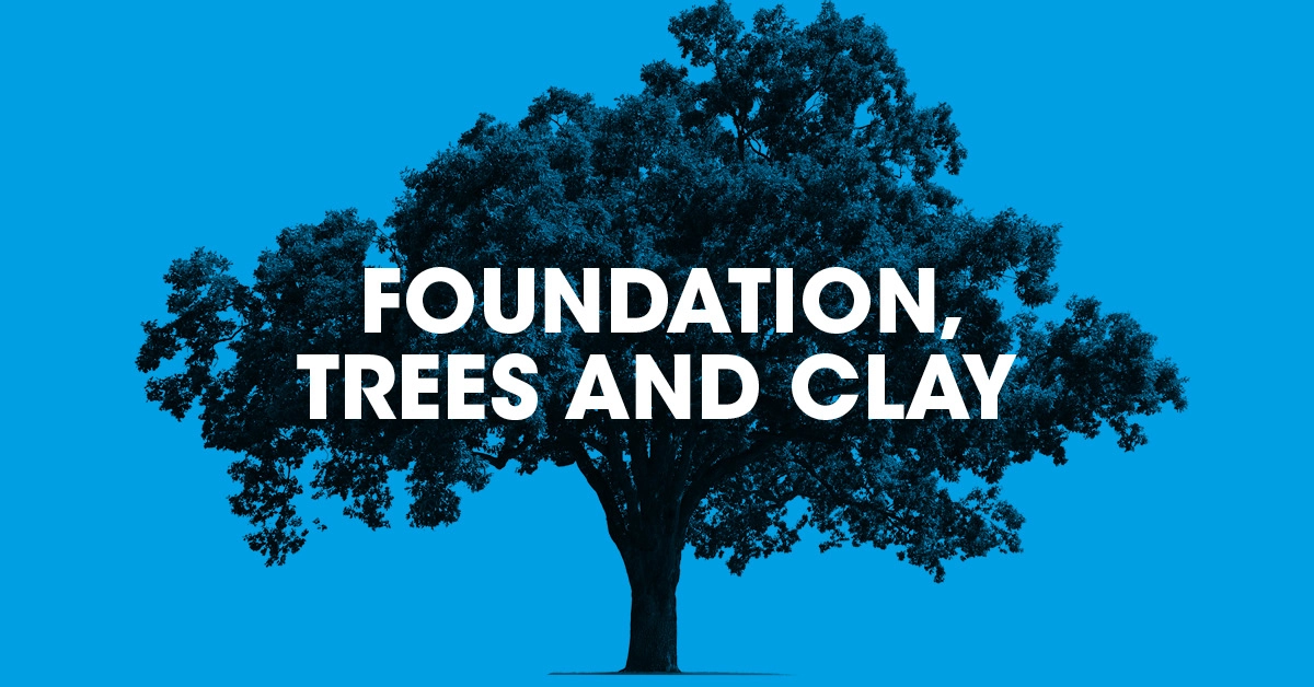 Foundation, trees and clay